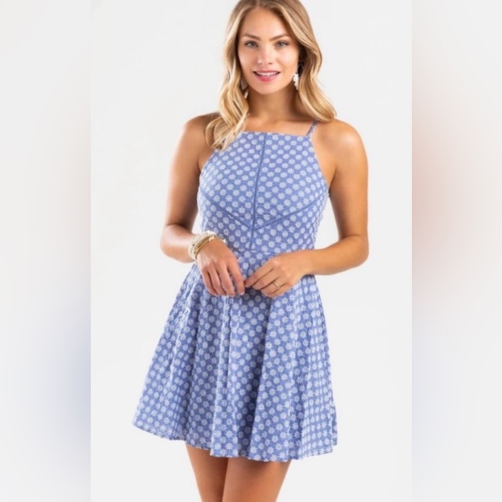 Altar'd State Light Blue Embroidered Flowers Mini Dress